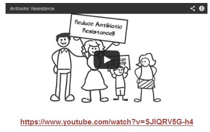 antibiotic video